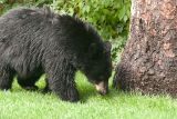 DSC_5959.jpg